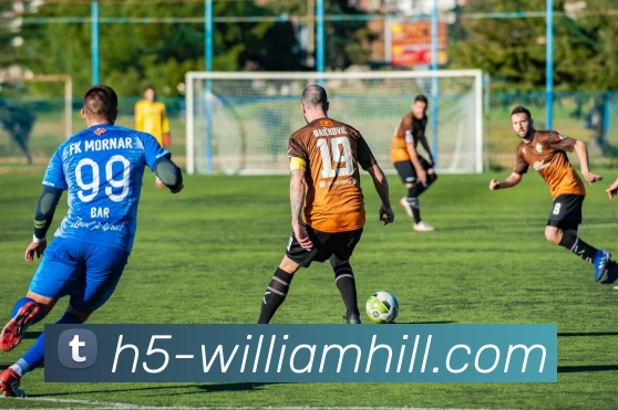 威廉希尔APP 体育赛事宣传图