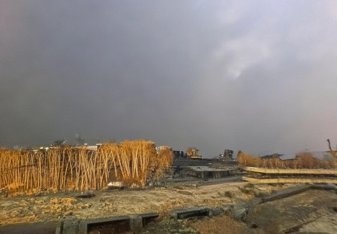 恩德里克足球传奇：从巴西小镇到世界舞台的崛起之路